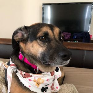 Meet your Posher, Jessica